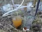 Preview: OSMEX-Plus - mobile Osmose-Anlage mit Filterglocke und Handpumpe und 12 Volt Pumpe Preview: OSMEX-Plus - mobile Osmose-Anlage mit Filterglocke und Handpumpe und 12 Volt Pumpe