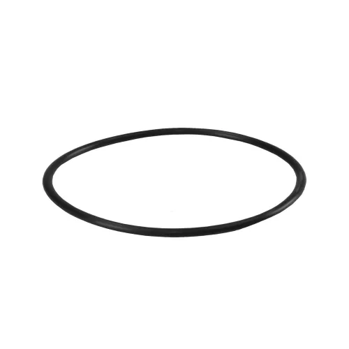 O-Ring für 5 Zoll Filtergehäuse