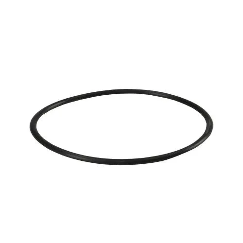 O-Ring für Big Blue Gehäuse (10" / 20") mit Kunststoffgewinde