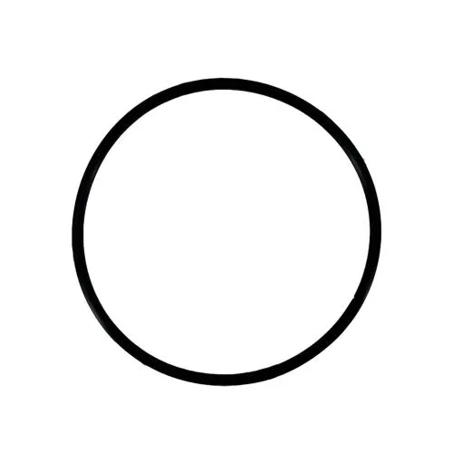 O-Ring für Membrangehäuse (3213-800) der OSMEX Anlagen