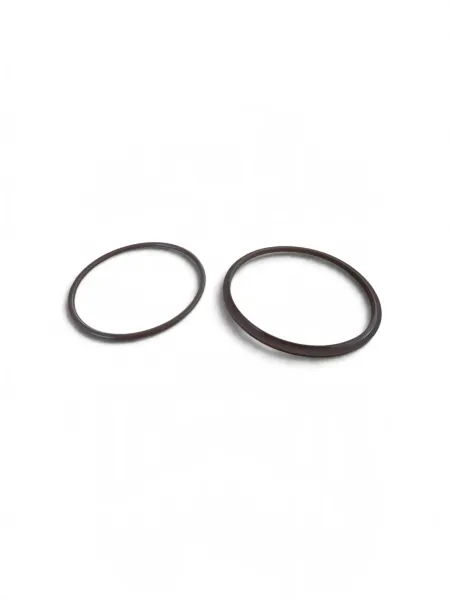 O-Ring EPDM Set für 2,5" x 10" und 2,5" x 20" Edelstahl Filtergehäuse | Ersatzdichtung