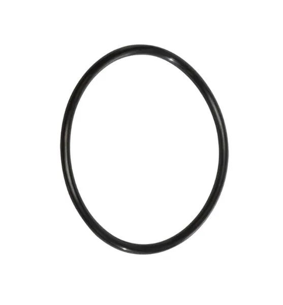 O-Ring für Edelstahl-Zylinder der CINTROPUR Filter UV-Anlagen