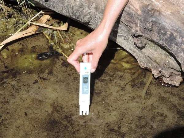 TDS Messgerät (Wassertester) TDS Messgerät (Wassertester)
